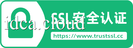 Trust SSL安全认证