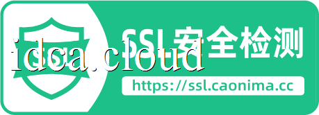 SSL证书安全检测